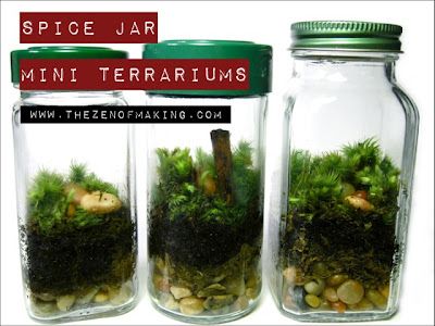 seriously awesome! Spice Jar Mini Terrariums by The Zen of Making Terrariums Diy, Terrarium Jar, Mini Terrarium, Moss Terrarium, Moss Garden, Terrariums Kits, Terrarium Diy, Spice Jar, Garden Terrarium