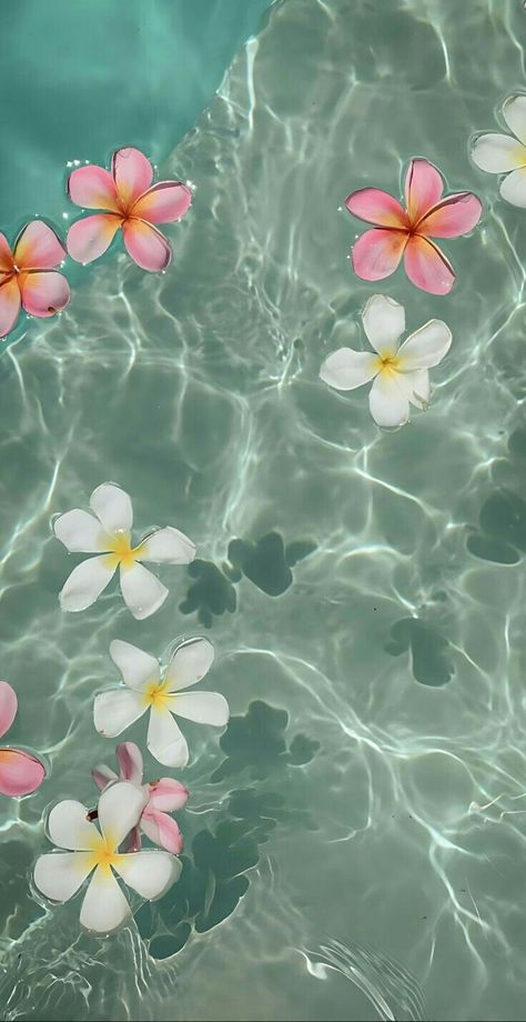 Everyday Quotes, Flower Phone Wallpaper, Pretty Wallpapers, Summer Vibes, Phone Wallpaper, Water, Flowers, Green, Art