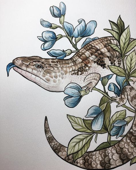 1,185 Likes, 21 Comments - V E R O N I C A S T E I N E R (@v.steiner) on Instagram: “Scaly Saturday - pretty little blue tongue skink painting for @kayliedeng 🌿 . . #illustration…” Blue Tongue Lizard, Lizard Tattoo, Blue Tongue Skink, Animal Illustration Art, Snake Art, Illustration Watercolor, Simplistic Tattoos, Wildlife Art, Painting Style