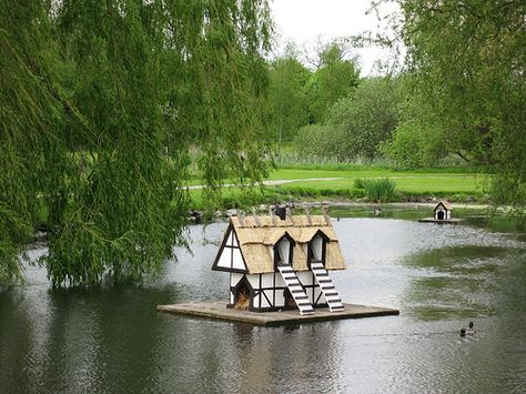 Duck house =) Duck Houses, Me Jealous, Duck Island, Goose House, Backyard Ducks, Duck Coop, Duck Farming, Beautiful Birdhouses, Homestead Farm