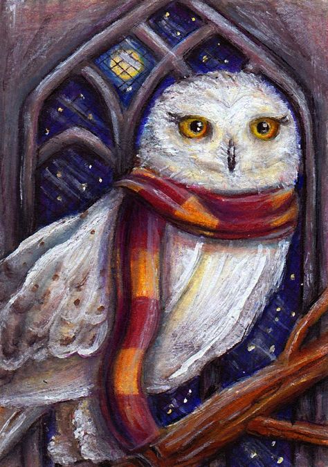 Hedwig Hery Potter, Harry Potter Painting, Harry Potter Owl, Tapeta Harry Potter, Harry Potter Bedroom, Harry Potter Illustrations, Harry Potter Disney, Desenhos Harry Potter, Harry Potter Artwork