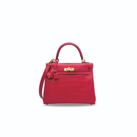 HERMÈS, 2021 Kelly 25, Hermes Kelly Bag, Kelly Bag, Hermes Handbags, Hermes Bag, Kate Spade Top Handle Bag, Alligator, Gold Hardware, Fashion Bags