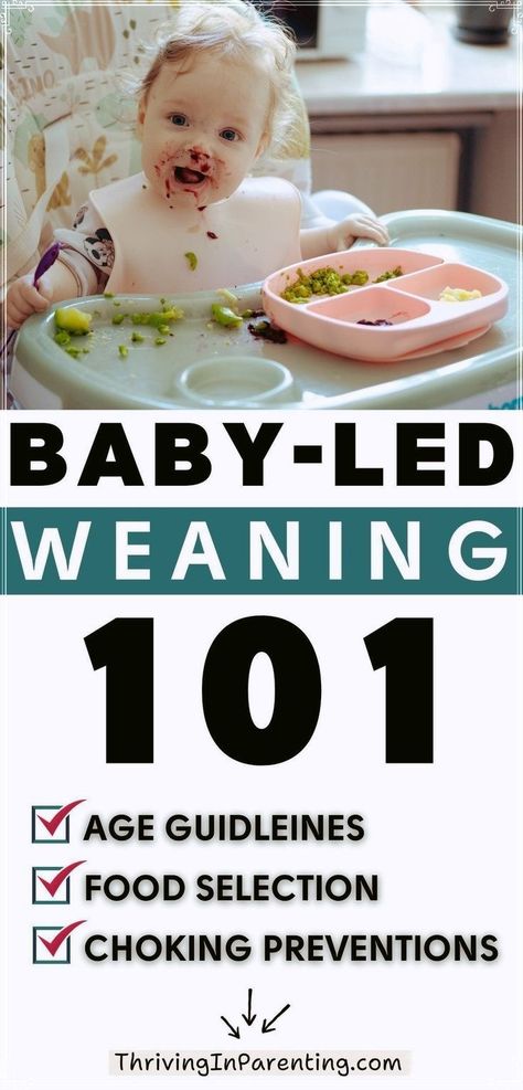 Baby-led weaning– what is it? Find all the essential information you need about what is baby led weaning here! Discover what age to start baby led weaning and what foods to start baby led weaning. Explore the safety precautions and how to avoid choking hazards and provide tips to minimize risks, like the best soft foods to put on their plate. Additionally, we'll touch upon traditional weaning methods and how baby-led weaning differs. Dive into the wonderful world of baby-led weaning confidently!