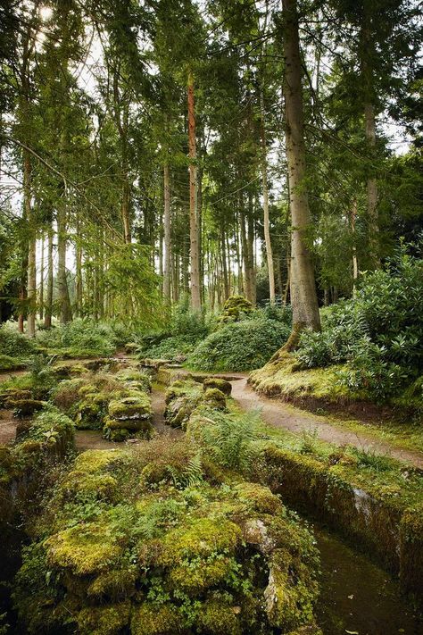 Woodland Path, Dan Pearson, Castle Garden, Royal Garden, Castle House, Forest Garden, Garden Show, Cumbria, The Castle