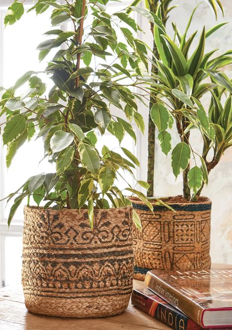 Sustainable Jute Planters With Block Print Indoor Plant Pot | Etsy Yukka Plant, Jute Basket, Floor Plants, Basket Planters, Plant Basket, Indoor Plant Pots, Indoor Plant, Eco Friendly Gifts, Storage Basket