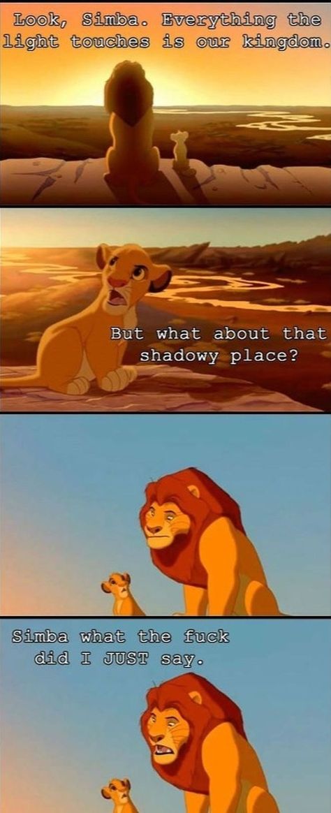 Simba what did I just say Funniest Photos Ever, Didney Worl, The Meta Picture, Il Re Leone, Re Leone, Le Roi Lion, Funny Messages, The Lion King, Disney Love