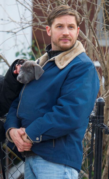 Tom Hardy Boyfriend Material, توم هاردي, Tom Hardy Dog, Brian Quinn, Eddie Brock, Gay Dads, Dan Stevens, Thomas Hardy, Hooray For Hollywood