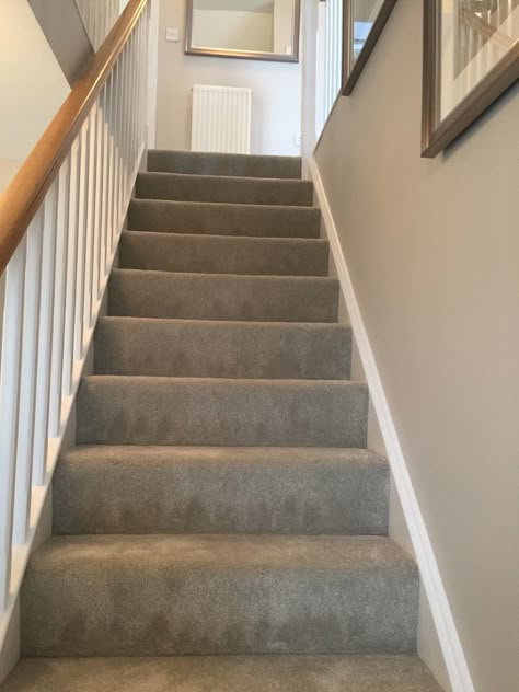 Colours That Go With Grey Carpet, Grey Carpet On Stairs And Landing, Beige Carpet Stairs And Landing, Grey Hallway Carpet, Beige Walls Grey Carpet, Hall Stairs And Landing Carpet, Grey Carpet Hallway And Stairs, Grey Carpet Beige Walls, Dark Carpet Light Walls