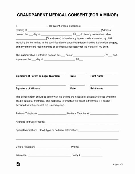 √ 30 Medical Consent form Template Free | Effect Template Babysitter Binder, Medical Consent Form Children, Nanny Binder, Child Travel Consent Form, Medical Form, School Admission Form, Consent Letter, Flat Stanley, Medical Binder