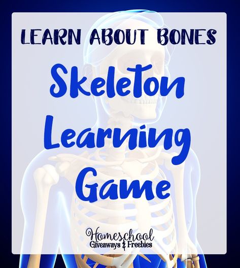 Learn About Bones: FREE Skeleton Learning Game Bones Of The Body, Bones Game, Human Skeleton Anatomy, Skeleton Movement, Body Bones, Skeleton Anatomy, Medical Billing And Coding, Billing And Coding, Game Rules