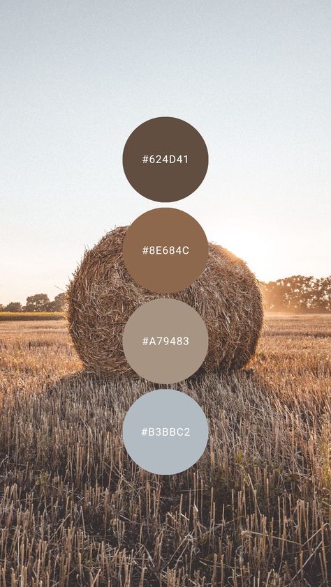 Harveast season isn't just about pumpkins, wheat oat, and barley feel just as cozy. Try it in the kitchen, dining room, living / family room, bathroom, or home office. #colourpalette #colorpalette #colour #color #palette #brown #oat #beige #lightbrown #wheat #barley Brown Contrast Color Schemes, Texas Color Palette, Colouring Palette, Color Palette Brown, Colors Combinations, Color Design Inspiration, Senior Style, Hex Color Palette, Interior Colors