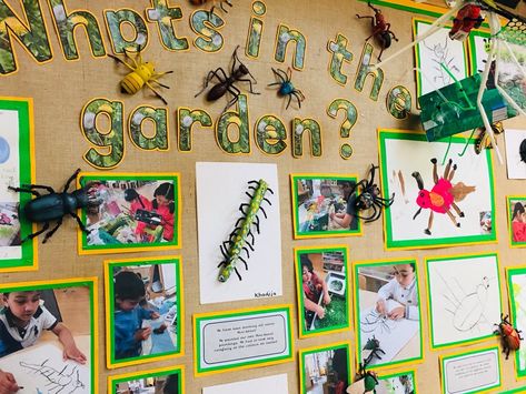 Nursery Display Boards Eyfs, Nursery Display Boards, Minibeasts Eyfs, Curiosity Approach, Reading Display, Insects Preschool, Preschool Garden, Eyfs Classroom, Boards Ideas