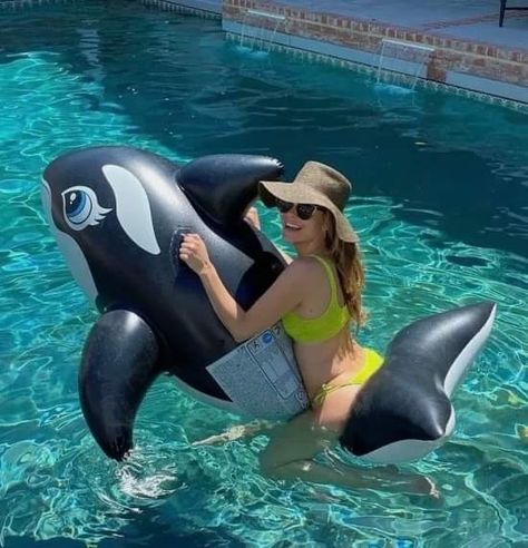 Beach Inflatables, Inflatable Shark, World Of Warcraft, Dallas Cowboys, Chess, Dolphins, Float, Dallas, Pool