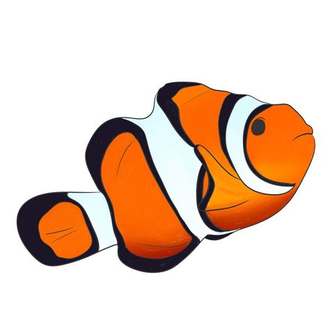 Clown fish / Amphiprion percula Clownfish communicate by making popping and clicking noises, all baby clownfishes are male, we don’t actually know how they survive the anemone’s poison (but there are some really good theories!) clownfish stickers have just been added to the shop xo #undertheseafacts #neurodivergentartist #smallbusinesssupport #digitalartist #procreateart #clownfish #madeinaustralia Cartoon Side Profile, Clown Fish Cartoon, Clownfish, Fish Drawings, Art Competitions, Clown Fish, Anemone, Under The Sea, Digital Artist