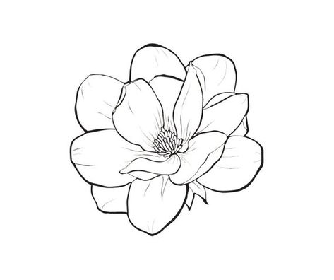 Magnolia Stencil, Magnolia Flower Drawing, Magnolia Drawing, Flower Drawing Tutorials, Magnolia Design, Chalk Ink, Flower Art Drawing, Flower Sketches, Floral Drawing