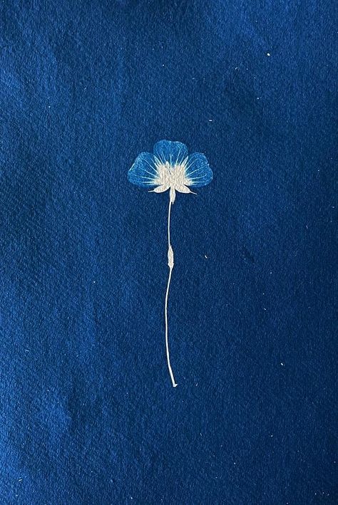 Single love on Artfully Walls Cyanotype Print, Artfully Walls, Indigo Prints, Artist Wall, Shopping Photography, Rainbow Shop, Abstract Drawings, Single Flower, Wall Gallery