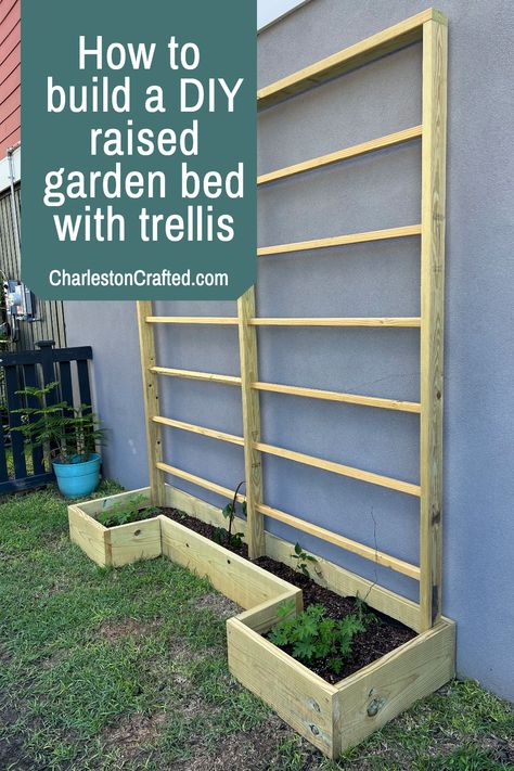 Get ready for spring by learning how to build a DIY raised garden bed with trellis, perfect for growing trailing plants like blackberries, raspberries or squash! Trellis For Squash, Build A Trellis, Raised Garden Bed With Trellis, Garden Bed With Trellis, Making Raised Garden Beds, Diy Raised Garden Bed, Building A Trellis, Beds Ideas, Building Raised Garden Beds