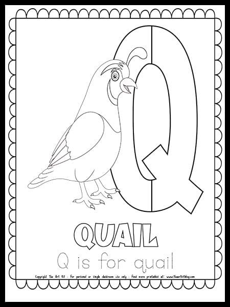 Letter Q is for Quail FREE Printable Coloring Page Q Is For Quail, Preschool Bible Activities, Cute Letter, Preschool Bible, Bible Printables, Free Printable Letters, Letter Q, Educational Activities For Kids, Cute Letters