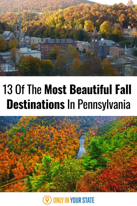 Best Things To Do In Pennsylvania, Pa Bucket List, Pennsylvania Fall Foliage, Pennsylvania Fall Travel, Pennsylvania Road Trip Places To Visit, Things To Do In Pennsylvania Fall, Pennsylvania Fall Road Trip, Pennsylvania In The Fall, Pennsylvania Grand Canyon