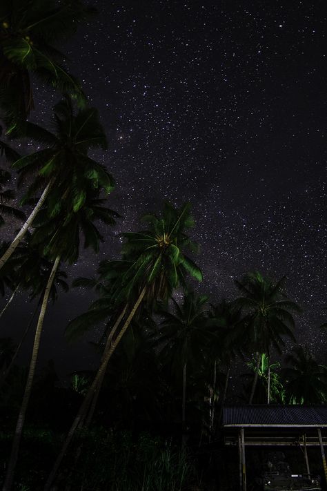 Hot Summer Nights, Random Thoughts, Summer Nights, Night Sky, Hot Summer, Palm Trees, Trees, Tumblr, Stars