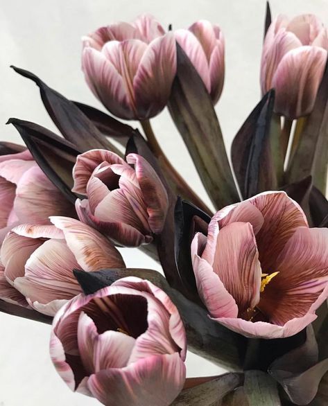 Jumping on the “Painted Brownie” Dutch tulip train because they are just TOO GOOD. ⠀⠀⠀⠀⠀⠀⠀⠀ Phot Brownie Tulip, Memorial Wreath, Dutch Tulip, Tulip Wedding, Tulip Painting, Garden Wedding Inspiration, Table Wedding, Bulb Flowers, Boho Rainbow