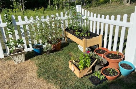 Homeowner subverts HOA with clever ‘workaround’ to their neighborhood’s harsh garden rules: ‘Your HOA sounds horrible’ — The Cool Down Hoa Approved Garden, Garden Bed, Garden Beds, The Cool, The Neighbourhood, Sound, Yard, Things To Come