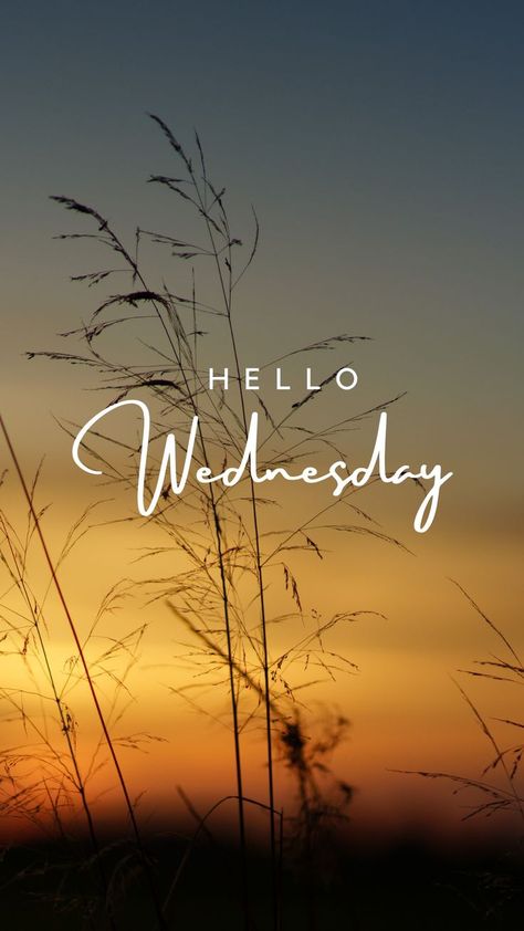 Days of the week Hello Wednesday, Good Night Sweetheart, Good Morning Wednesday, Days Of The Week, Good Night, Instagram Story, Good Morning, Memes, Instagram