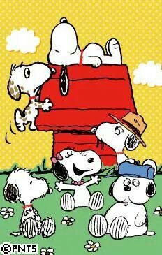 Snoopy and Siblings Composting Ideas, Snoopy Family, Charlie Brown Quotes, Peanut Gang, Peanuts By Schulz, Brown Quotes, Woodstock Peanuts, Snoopy Comics, Snoopy Cartoon