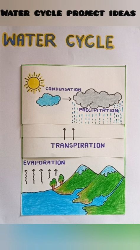 Pirjada Arif I Tlm creativity | Water cycle project | water cycle project making | #watercycle #project #art #watercycleproject💧☔️☀️☁️📝 #drawings #shorts… | Instagram Watercycle Kids Project, Parts Of Plant Project, Water Cycle Project, Human Body Science Projects, Kids Craft Work, Science Exhibition Projects, Science Exhibition, School Science Projects, Science Models