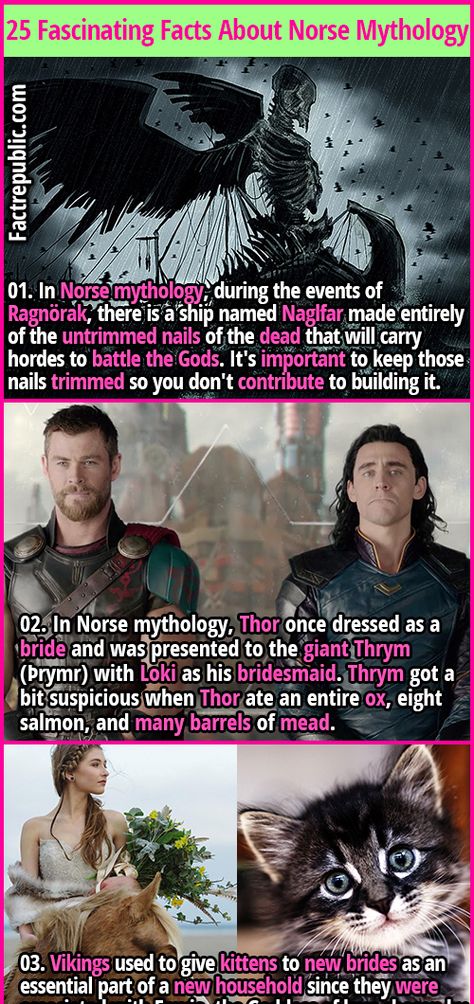 Hollywood Bride, Loki Ragnarok, Viking Gods, Viking Facts, Vikings History, Nordic Mythology, Craft App, Viking Quotes, Banana Sandwich