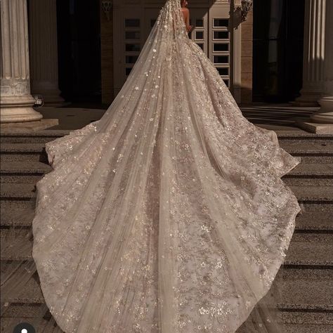 Extravagant Wedding Dresses, Extravagant Wedding, Womens Wedding Dresses, Wedding Dresses Beaded, Dream Wedding Ideas Dresses, Beaded Wedding, Luxury Wedding Dress, A Wedding Dress, Chapel Train