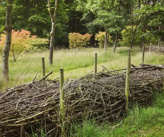 How To Build A Dead Hedge: Turn Garden Waste Into An Easy, Eco-Friendly Fence Dead Hedge, Fence Gardening, Hedge Fence, Yard Waste, Sustainable Garden, Water Wise, Be Beautiful, Trees And Shrubs, All Flowers