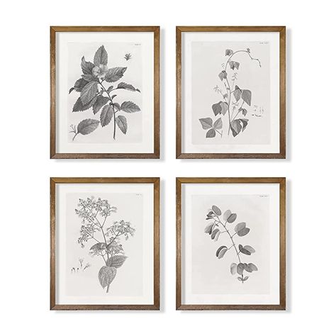 Amazon.com: Vintage Farmhouse Botanical Wall Art - Grey Neutral Plant Leaf Sketch - Leave Drawing Etching Rustic Gray Picture - Beige Floral Flower Print Poster - Minimalist Mid Century French Country Room Décor : Handmade Products Leave Drawing, French Country Room, Leaf Sketch, Country Room, Green Room Decor, Leaves Sketch, Mid Century French, Minimalist Mid Century, Kitchen Artwork