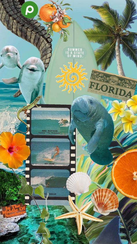 Florida, manatee, beach, orange, bright, sunny, sunshine state, sea, dolphins Florida Manatees, Manatee Florida, Manatees, Sunshine State, Dolphins, Florida, Orange, Pins