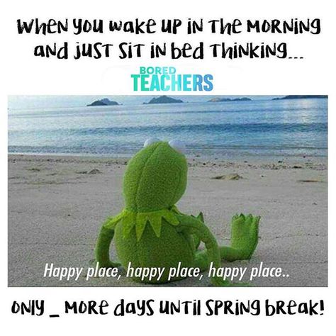 Fill in the blank!   How many days do you have left? Broke Meme, Teacher Funnies, Teacher Humour, Classroom Humor, Teaching Memes, Family Spring Break, Teaching Humor, Bored Teachers, Teacher Union