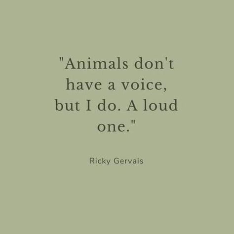 Office Board Ideas, Animal Lover Quotes, Office Board, Grooming Business, Ricky Gervais, Romantic Academia, Fantasy Story, Work With Animals, Animal Quotes