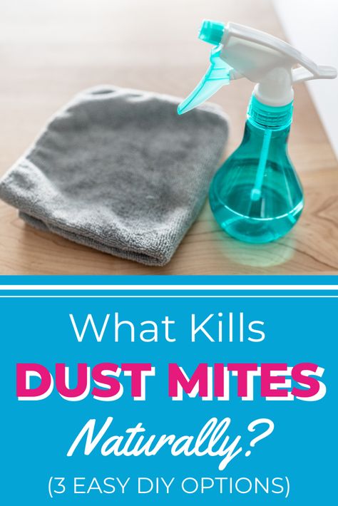 Ever wondered what dust mites are? Or how to get rid of dust and dust mites for good? In this article, we answer all your questions on the topic, including whether dust mites can live in hair. Dust Mite Allergy Remedies, Dust Mite Spray, Dusting Tips, Dust Mite Allergy, Dusting Spray, Dust Allergy, Allergy Remedies, Damage Hair, Diy Sprays