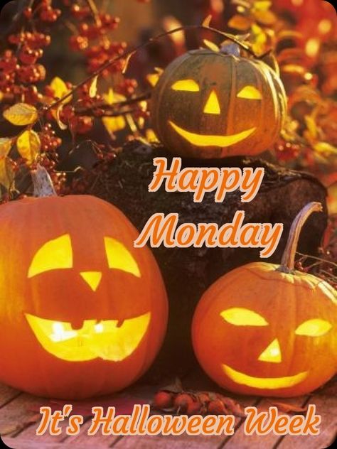 Monday Halloween, Happy Halloween Gif, Happy Halloween Quotes, Funny Good Morning Memes, Happy Monday Morning, Happy Halloween Pictures, Halloween Science, Happy Day Quotes, Halloween Week