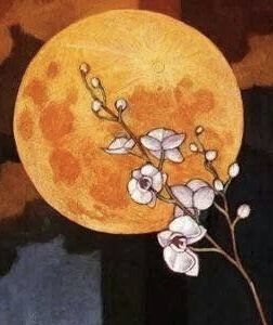 Orchids And Moonlight, Moon Orchid, Orchid Drawing, Moon Drawing, Art Project, Painting Ideas, Flower Art, Orchids, Art Projects