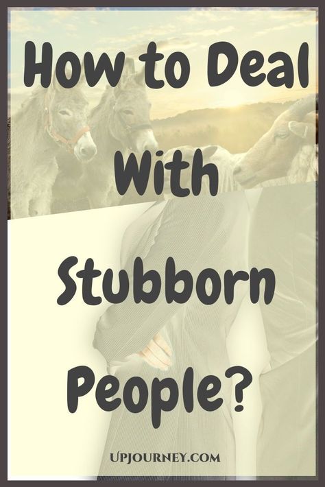 Be it a child or an adult; their stubbornness can be infuriating at times. While a child can still be disciplined and taught to do.. Stubborn Quotes, Stubborn People, Be Disciplined, Relationship Goals Quotes, Journal Challenge, Best Self Help Books, Negative Traits, Welcome To The Group, Lack Of Empathy