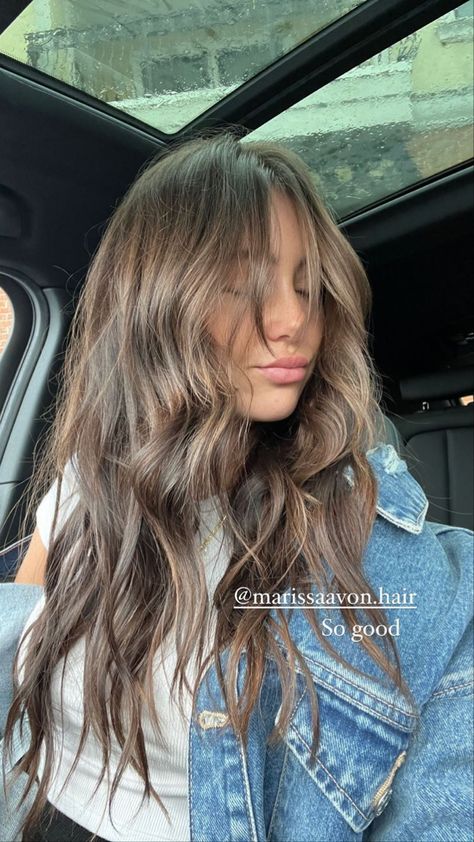 Light Brown Hair Chocolate, Matilda Djerf Hair Inspiration, Brunette With Light Front Pieces, Dark Under Layer Hair Color, Light Brunette All Over Color, Brunette Soft Highlights, Good Hair Colors For Brown Eyes, Balayage Hair Medium Brown, Long Layered Light Brown Hair