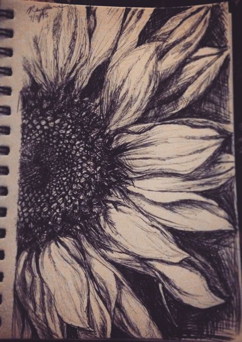 Drawing On Yellow Paper, Sunflower Sketch Pencil, Sunflower Sketch Aesthetic, Sunflowers Sketch, Flower Drawing Sunflower, Sunflower Pencil Drawing, Sunflower Drawing Pencil, Sunflower Drawing Aesthetic, Sunflower Drawings