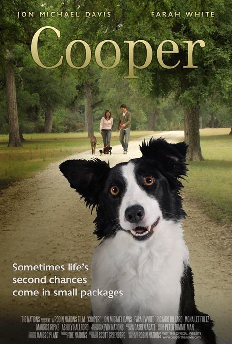 Cute, heartwarming film "Cooper" aka "Angel Dog" (available online on Netflix) 2011. It's about the dog who bond with people, help them deal with their daily lives. Sometimes life's second chances come in small packages.  http://www.imdb.com/title/tt1711456/ Action Movies To Watch, Film Cooper, A Dog's Tale, Angel Dog, Dog Trailer, Dog Movies, Puppy Day, Childhood Tv Shows, Dog Stories