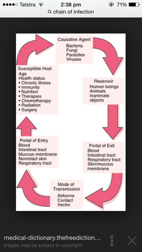 Chain Of Infection, Nursing Instructor, Infection Prevention, Animal Nutrition, Medical Knowledge, Medical Assistant, Chronic Illness, Surgery, Nursing