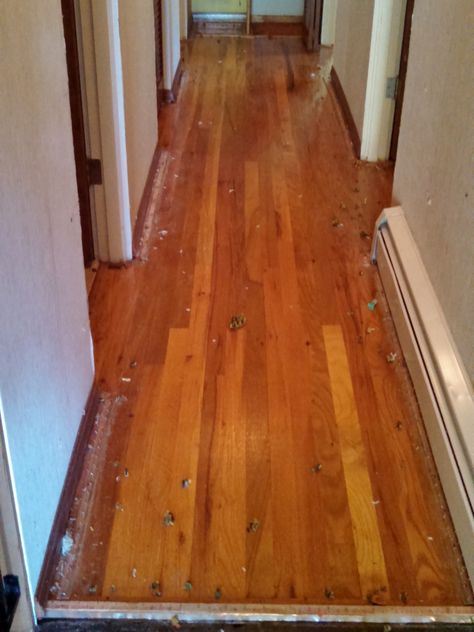 Removing Old Carpet, Rip Up Carpet Diy Hardwood Floors, How To Fix Hardwood Floors, Carpet Over Hardwood Floors, Ripping Out Carpet Diy, How To Clean Old Hardwood Floors, Removing Carpet From Hardwood, Hardwood Under Carpet, Wood Floor Renovation