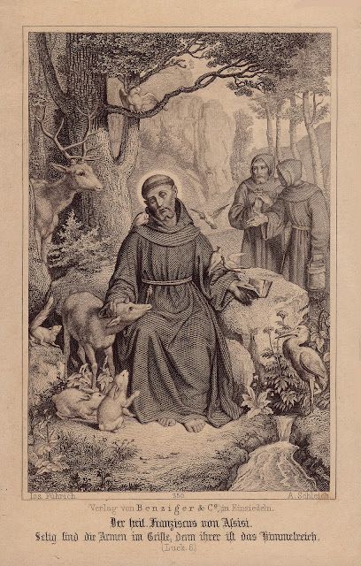 Francis Assisi, Cloud Of Witnesses, St Francisco, St Francis Assisi, The Throne Of God, Roman Catholic Art, Catholic Aesthetic, Saint Francis Of Assisi, Patron Saint Of Animals