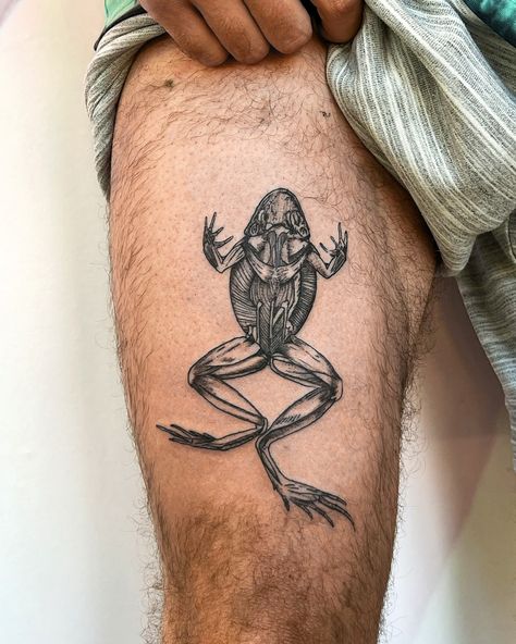 Anatomical frog for an old friend 🐸 zoom for details This was challenging but so happy with how it came out. Used a 5RL for outline, 3 rl for details and 1RL for tiny lil lines. Would love to do more of these.. send me your ideas! Call the shop to book :) #tattoo #njtattoo #anatomy #frogtattoo Frog Anatomy Tattoo, Frog Skeleton Tattoo, Frog Anatomy, Anatomy Tattoo, Frog Tattoo, Frog Tattoos, Skeleton Tattoos, Book Tattoo, Do More