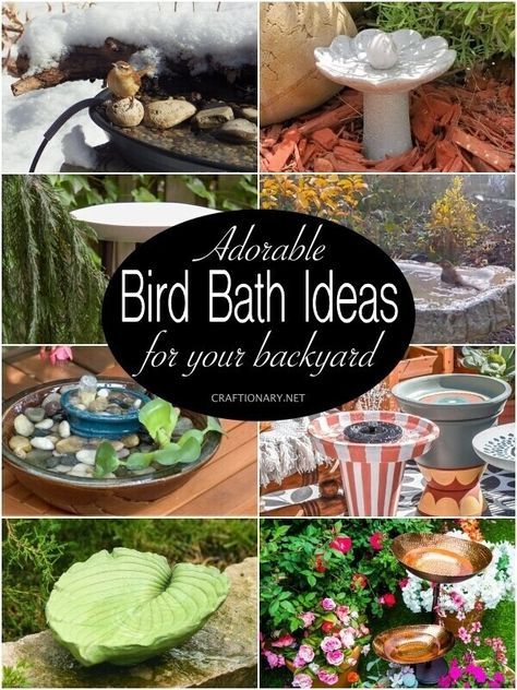 Adorable Bird Bath Ideas for your backyard - Craftionary Large Bird Bath Ideas, Repurposed Bird Bath Ideas, Air Plant Display Ideas, Air Plant Art, Large Bird Baths, Bird Bath Ideas, Bird Bath Planter, Diy Hummingbird Feeder, Air Plant Care