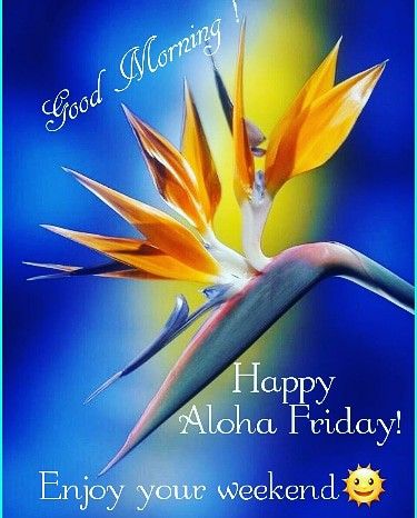 Hawaiian Quotes, Happy Aloha Friday, Friday Images, Happy Day Quotes, Aloha Vibes, Easter Monday, Aloha Friday, Enjoy Your Weekend, Fun Signs