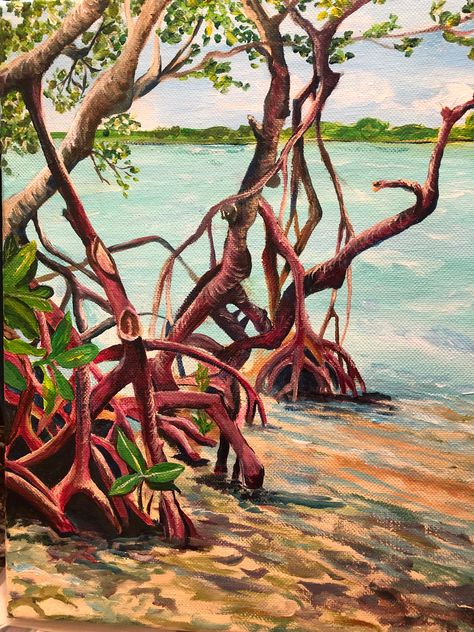 Mangroves Islamorada acrylic 12x14 Mangrove Trees Drawing, Mangrove Forest Drawing, Mangroves Art, Mangrove Art, Mangrove Painting, Florida Mangroves, Mangrove Roots Underwater, Class Painting, Ocean Habitat